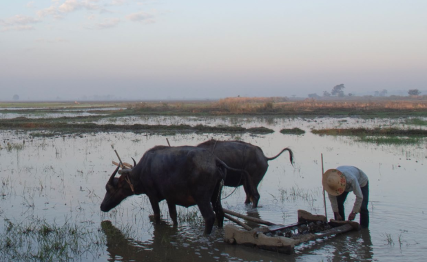 Climate Story Lab